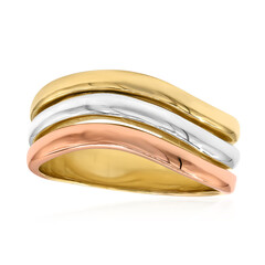 Anillo en plata