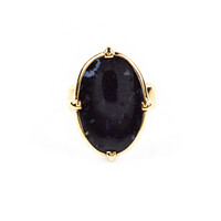 Anillo en plata con Madera de palma petrificada