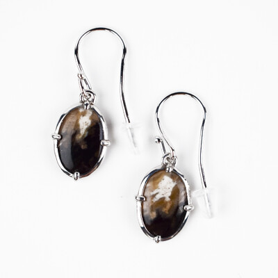 Pendientes en plata con Madera de palma petrificada