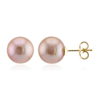 Pendientes en plata con Perla Ming púrpura (TPC)