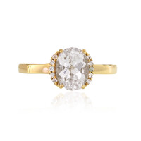 Anillo en oro con Cuncita blanca