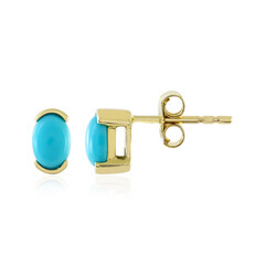 Pendientes en oro con Turquesa bella durmiente