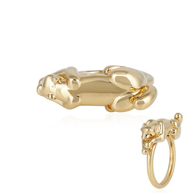 Anillo en plata