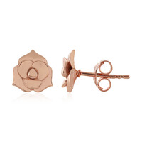 Pendientes en plata