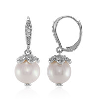 Pendientes en plata con Perla Freshwater