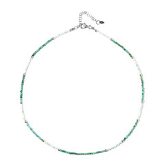 Collar en plata con Turquesa