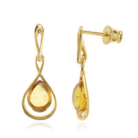 Pendientes en plata con Ámbar báltico