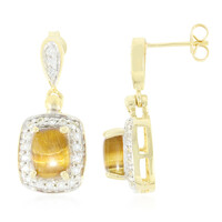 Pendientes en plata con Ojo de tigre
