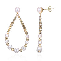 Pendientes en plata con Perla Freshwater