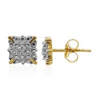 Pendientes en plata con Diamante PK (I)