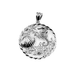 Colgante en plata con Zircón