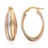 Pendientes en oro