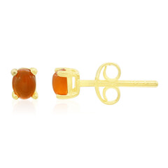 Pendientes en plata con Cornalina