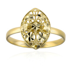 Anillo en oro (Goldkunst)