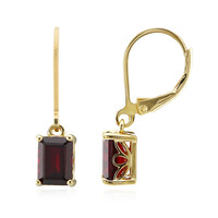 Pendientes en plata con Granate