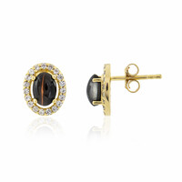 Pendientes en plata con Sillimanita ojo de gato
