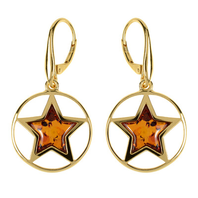 Pendientes en plata con Ámbar báltico (dagen)