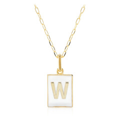 Collar en plata