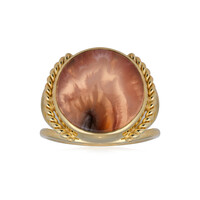 Anillo en plata con Cornalina pluma de java (Bali Barong)
