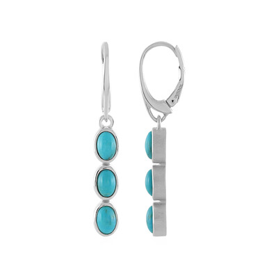 Pendientes en plata con Turquesa (MONOSONO COLLECTION)