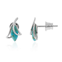 Pendientes en plata con Turquesa