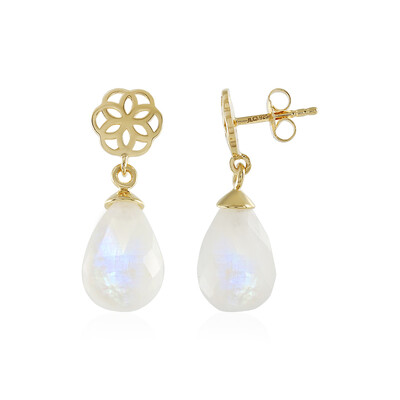 Pendientes en plata con Piedra de Luna arcoíris