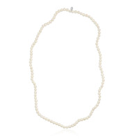 Collar en plata con Perla Freshwater (TPC)