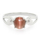 Anillo en plata con Escapolita ojo de gato