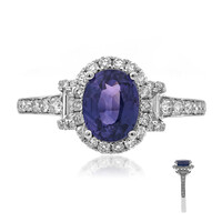 Anillo en oro con Zafiro púpura (CIRARI)