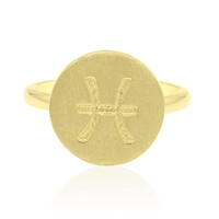 Anillo en plata