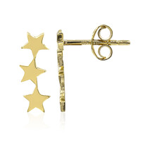 Pendientes en plata