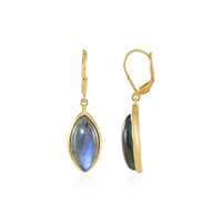 Pendientes en plata con Labradorita