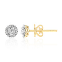Pendientes en oro con Diamante VVS1 (G)