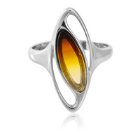 Anillo en plata con Ámbar báltico