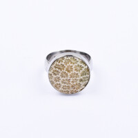 Anillo en plata con Piedra petoskey
