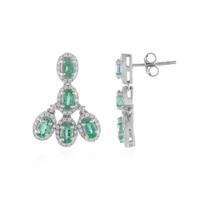 Pendientes en plata con Esmeralda de Rusia