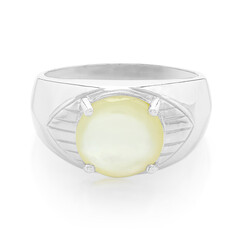 Anillo de hombre en plata con Concha de Abalone