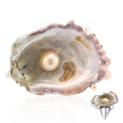 Anillo en plata con Concha (TPC)