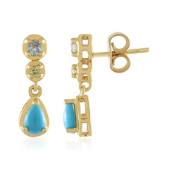 Pendientes en plata con Turquesa bella durmiente