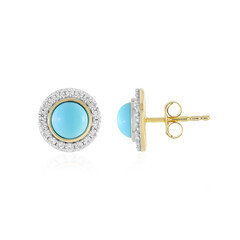 Pendientes en plata con Turquesa bella durmiente