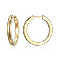 Pendientes en plata
