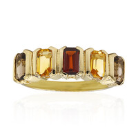 Anillo en plata con Granate de Mozambique
