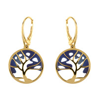 Pendientes en plata