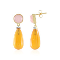 Pendientes en plata con Cornalina