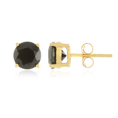 Pendientes en plata con Espinela negra