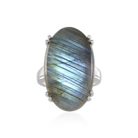 Anillo en plata con Labradorita