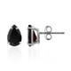 Pendientes en plata con Granate