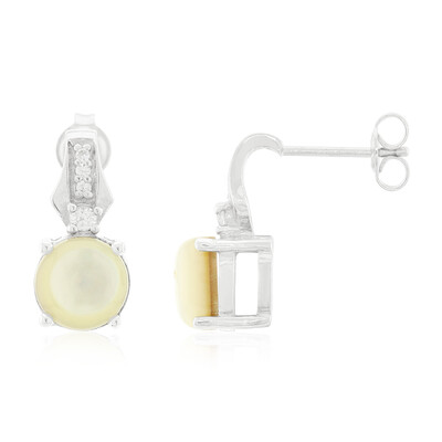 Pendientes en plata con Concha de Abalone