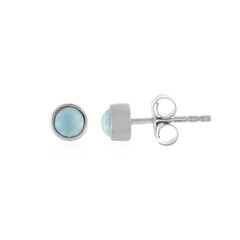 Pendientes en plata con Larimar
