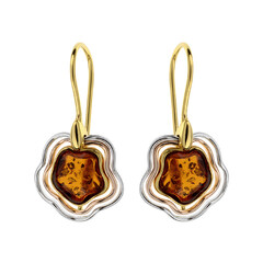 Pendientes en plata con Ámbar báltico